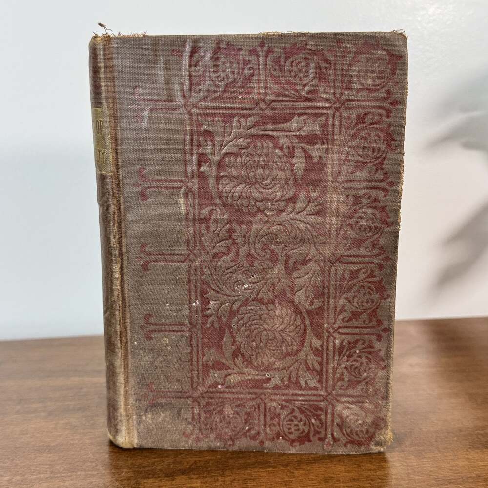 Guilty or Not Guilty by Amanda M. Douglas Antique Novel Hardcover F.M. Lupton